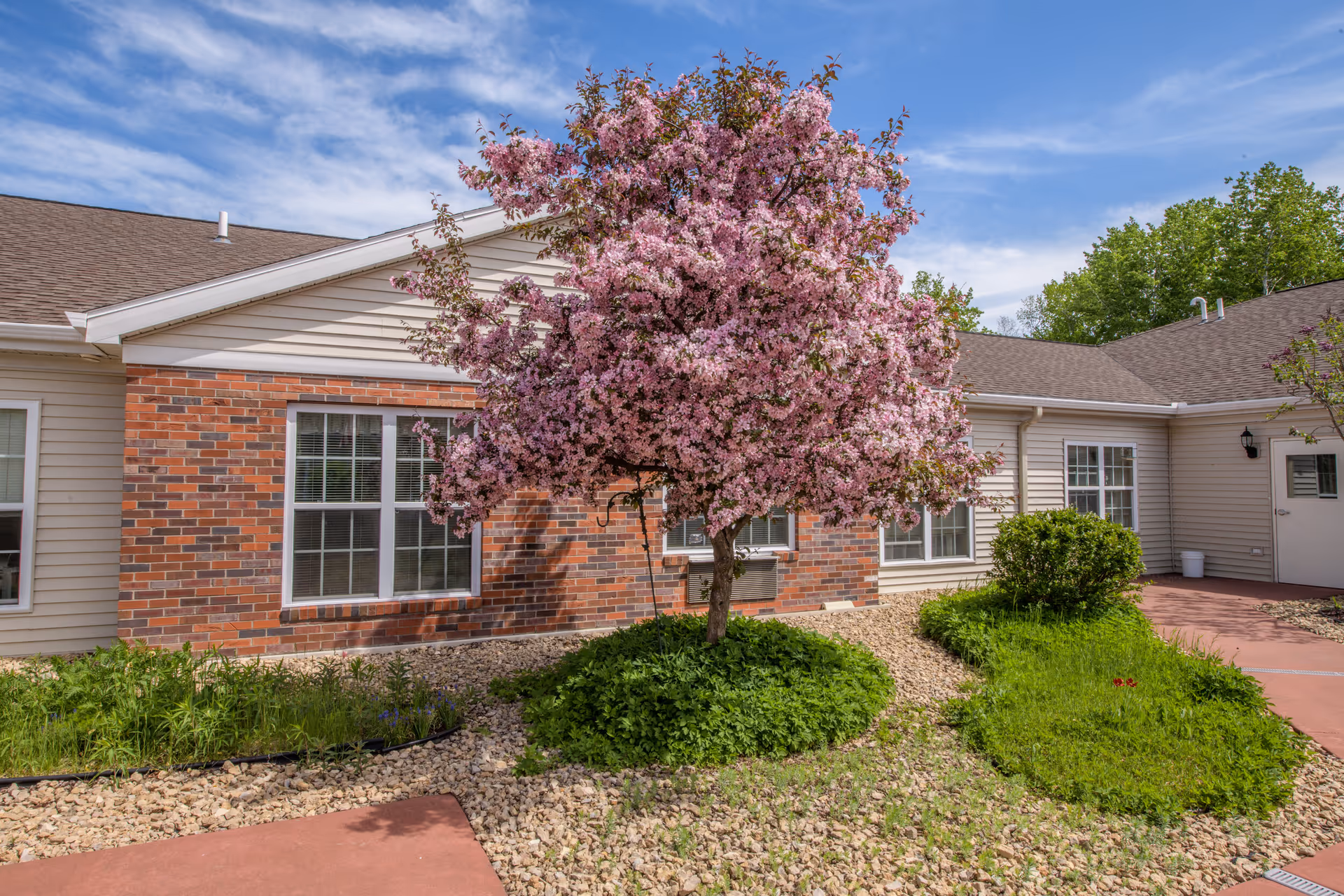 A blooming pink flowering tree in front of a single-story building with beige siding and red brick accents. The area around the tree is landscaped with green plants and rocks, and there is a red paved walkway leading to a door on the right side of the building under a partly cloudy blue sky.
