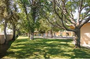 A grassy outdoor area with several large trees providing shade. In the background, there is a single-story building with a covered walkway and multiple doors or windows. The scene is bright and sunny.