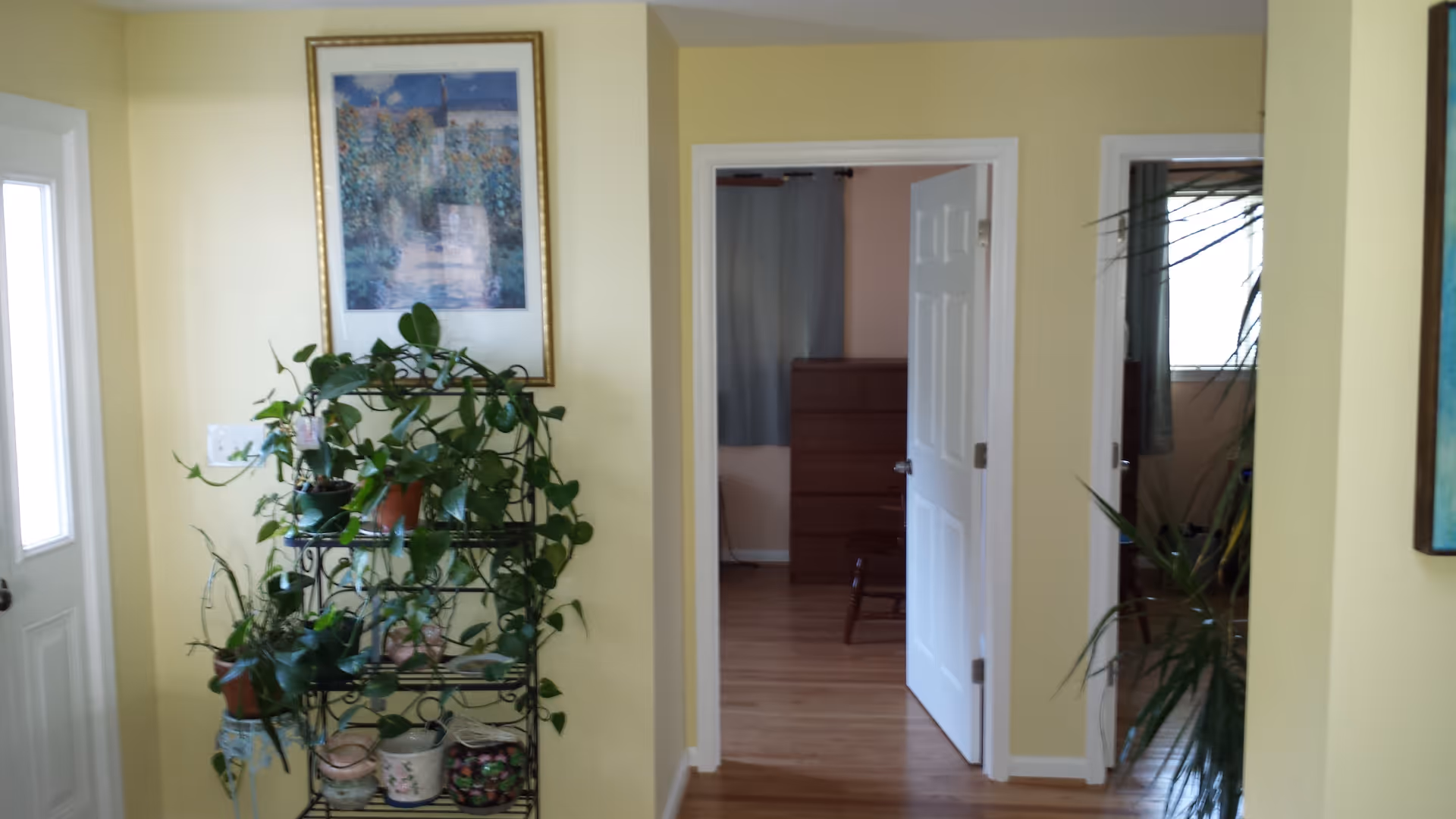 Entry hallway with yellow walls, a metal plant stand holding potted plants, and open interior doorways leading to rooms.