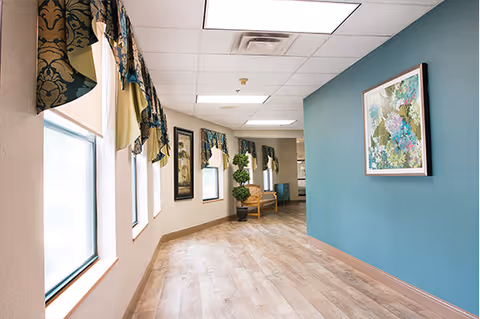 A bright hallway with light wood flooring and a teal accent wall on the right side featuring a colorful framed painting. The left side has several windows with patterned valances and shades, and there is a wooden bench with two potted topiary plants further down the hallway.