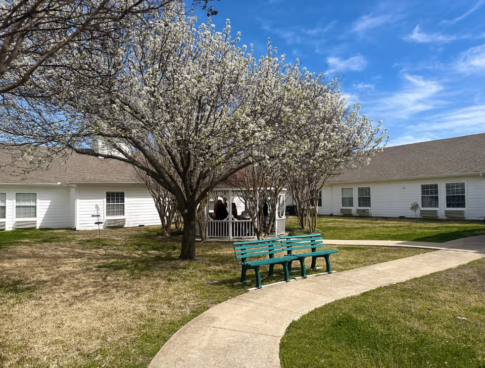 A courtyard with blooming trees, a white gazebo with people inside, green benches by a curved walkway, and single-story white buildings under a blue sky.