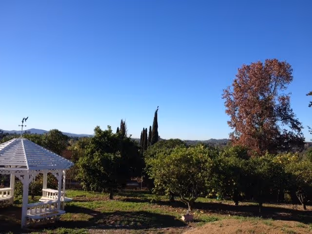 A sunny outdoor garden area with a white wooden gazebo on the left side, surrounded by green trees and bushes under a clear blue sky.
