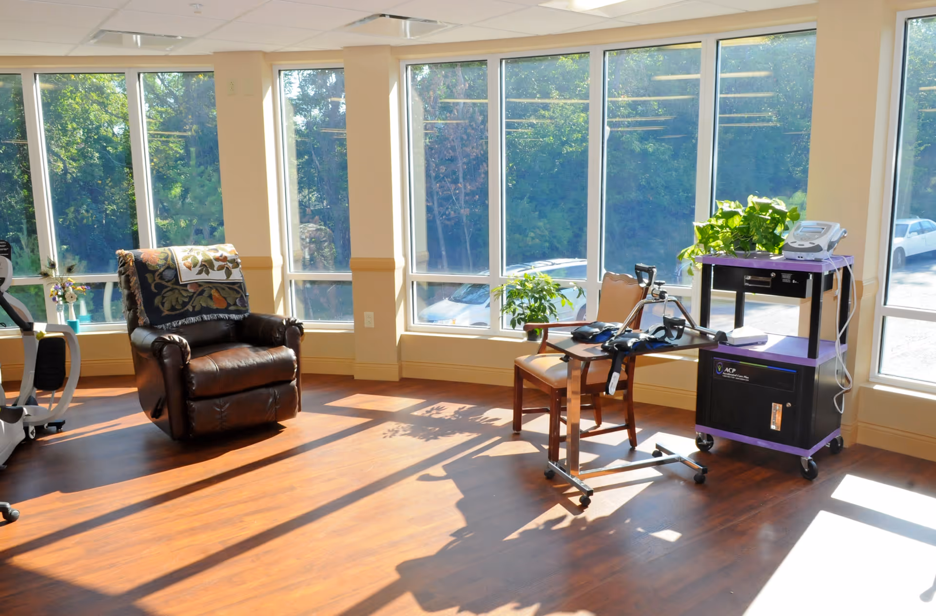 A bright room with large windows letting in sunlight, featuring a dark brown leather recliner chair with a floral throw, a wooden chair, a medical walker, a small black and purple rolling cart with a medical device on top, and two potted plants near the windows.