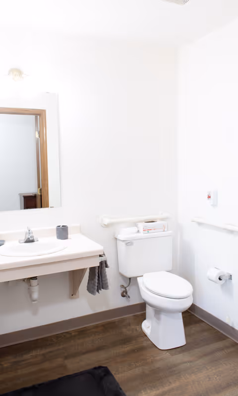Bright accessible bathroom with a sink and mirror, grab bars, and a toilet.