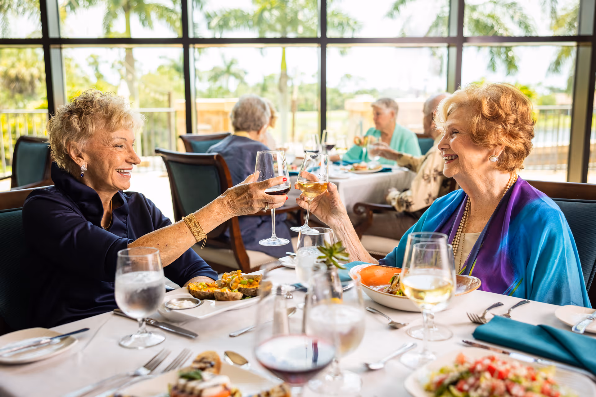 Two elderly women smiling and clinking wine glasses while seated at a dining table in a bright room with large windows.