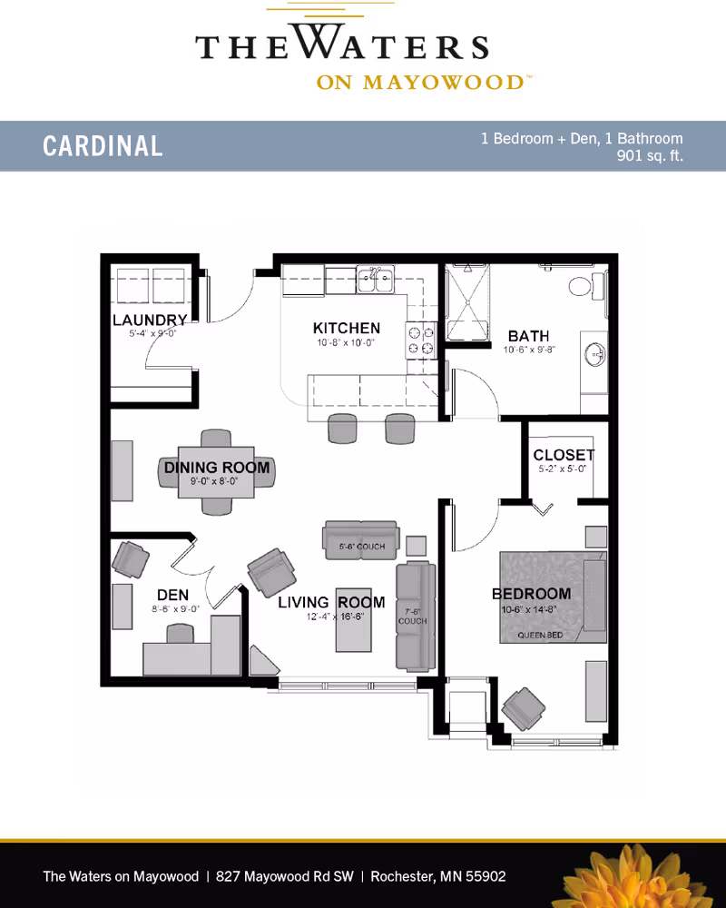 Floor plan titled 'Cardinal' showing a one-bedroom-plus-den apartment layout with labeled kitchen, living room, dining room, den, bedroom, bath, closet, and laundry.