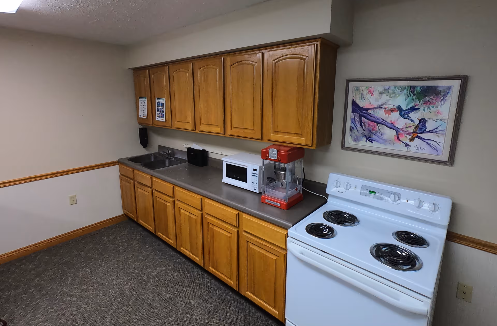 A small kitchen area with wooden cabinets, a countertop with a microwave and a red popcorn machine, a stainless steel sink, and a white electric stove. A colorful painting of birds on a branch hangs on the wall above the stove.