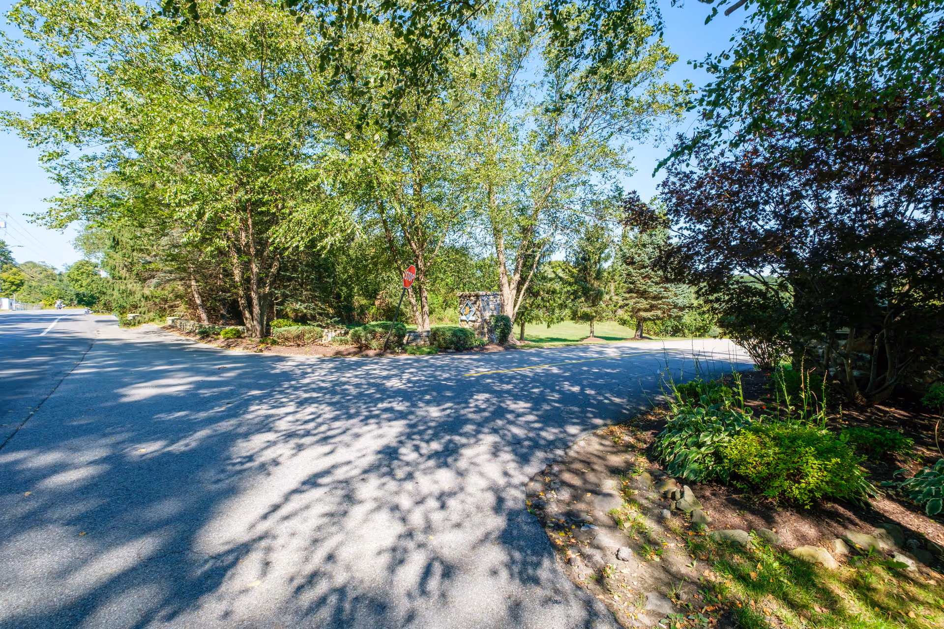 Tree-lined roadway and landscaped entrance with shadows on the pavement and a stop sign near a grassy area.