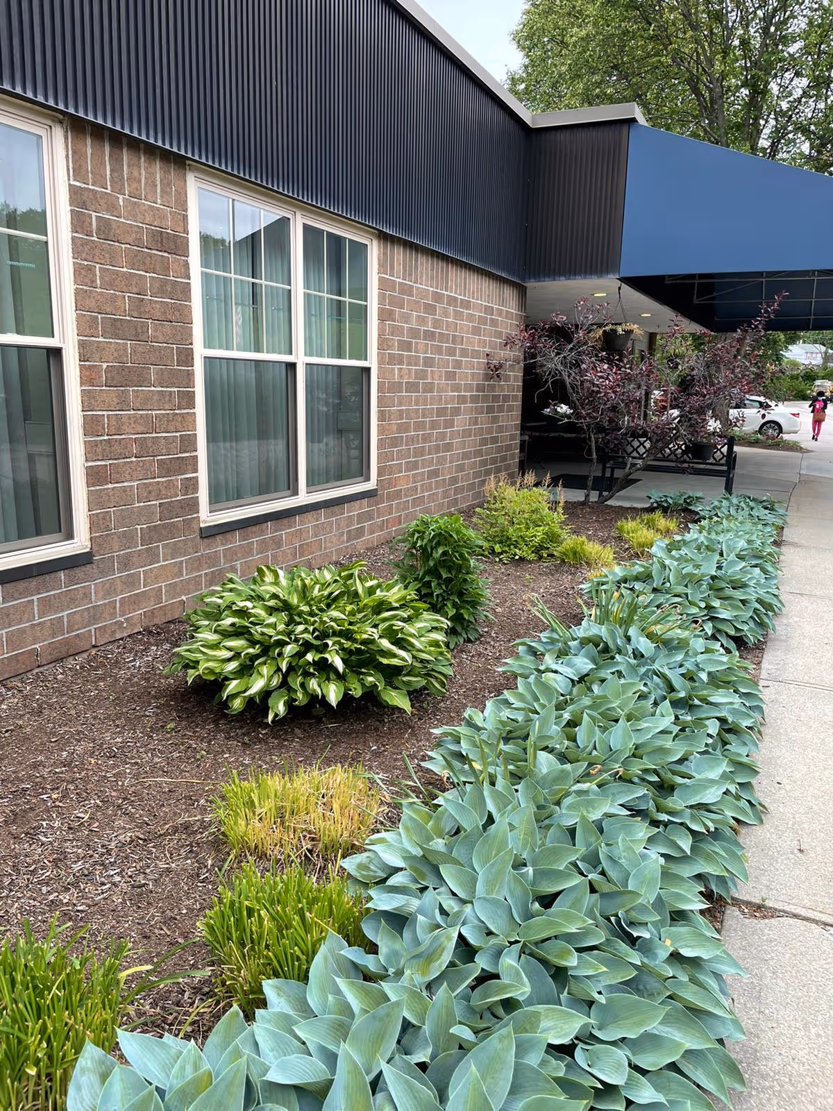 Outdoor view of a building with a brick exterior wall, two windows with curtains, and a blue awning above the entrance. There is a landscaped garden bed with various green plants and shrubs along the sidewalk leading to the entrance.