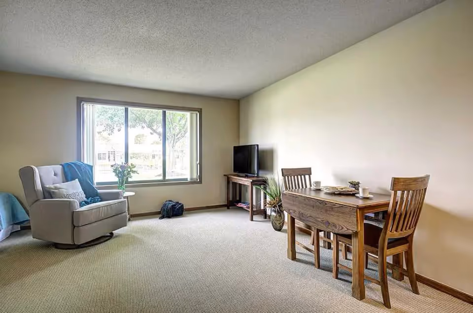 A bright living space with a large window letting in natural light. The room features a comfortable armchair with a blue throw and pillow, a small round side table with a vase of flowers, a wooden TV stand with a flat-screen television, and a wooden dining table with two chairs set with cups and plates. The walls are light-colored and the floor is carpeted.