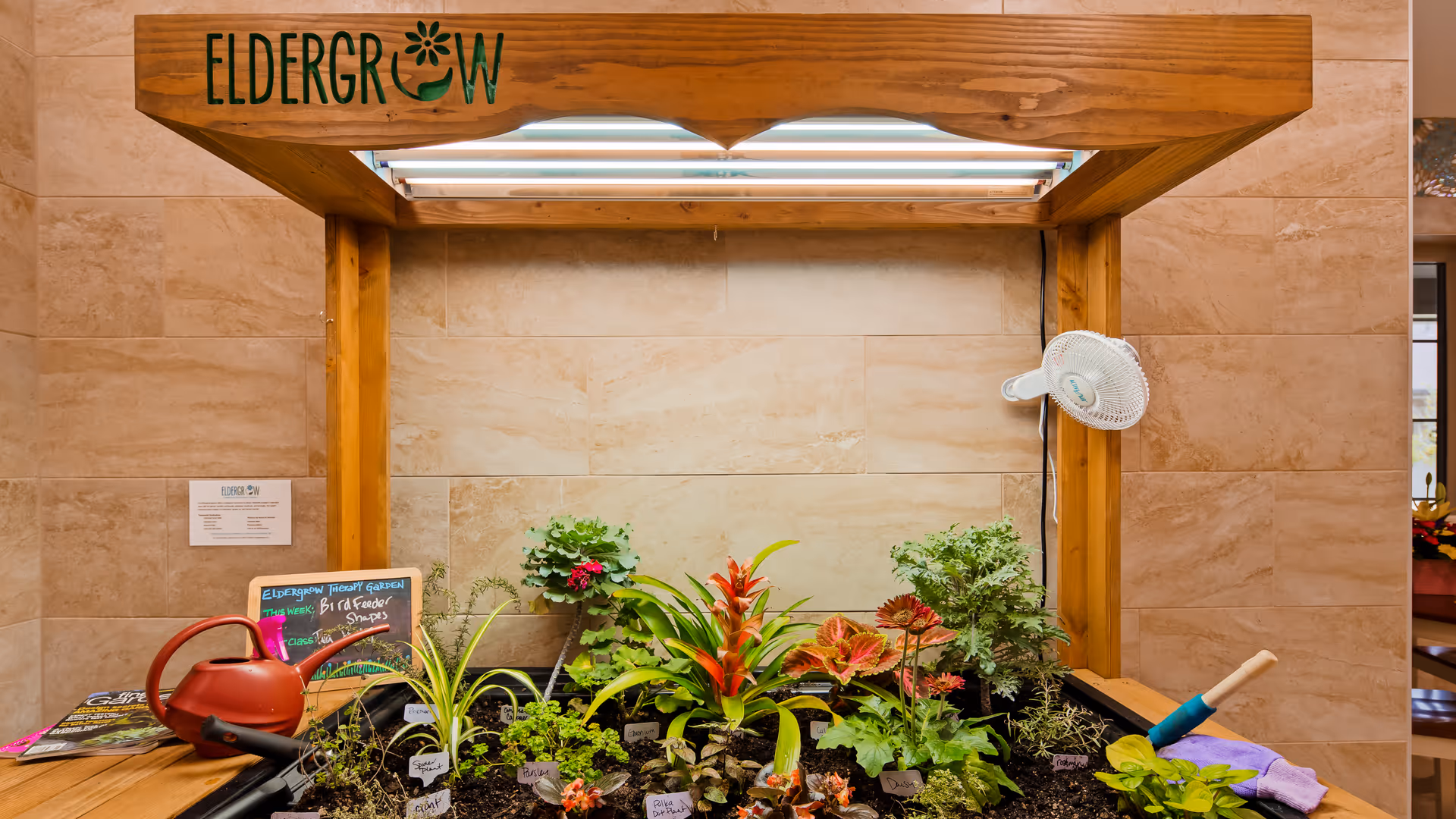 Indoor gardening setup with various potted plants and a wooden frame labeled 'Eldergrow' with grow lights above. A red watering can, small gardening tools, and a chalkboard sign with plant names and care instructions are also visible.