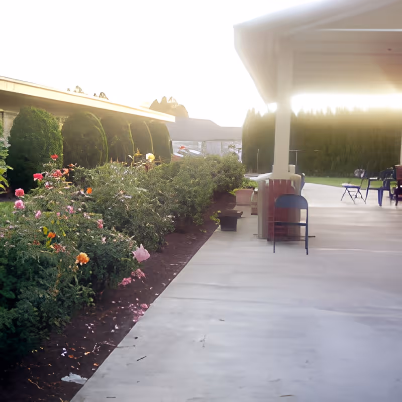 Outdoor patio area with a concrete floor, several chairs, and a garden bed with various flowering plants and shrubs along the side. The patio is partially covered by a roof supported by columns, and there are trimmed bushes and trees in the background.