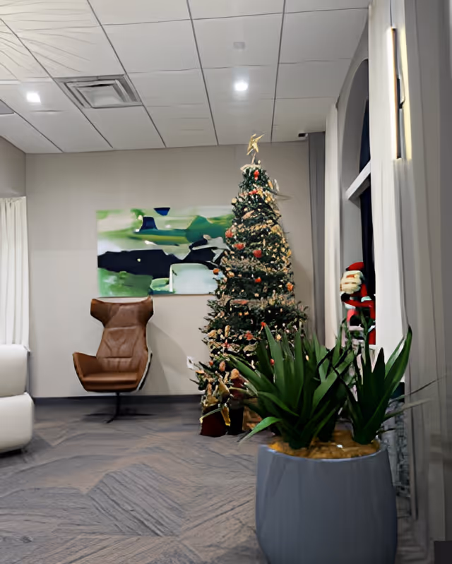 Interior sitting area with a decorated Christmas tree, a brown lounge chair, a large potted plant, and holiday decorations.