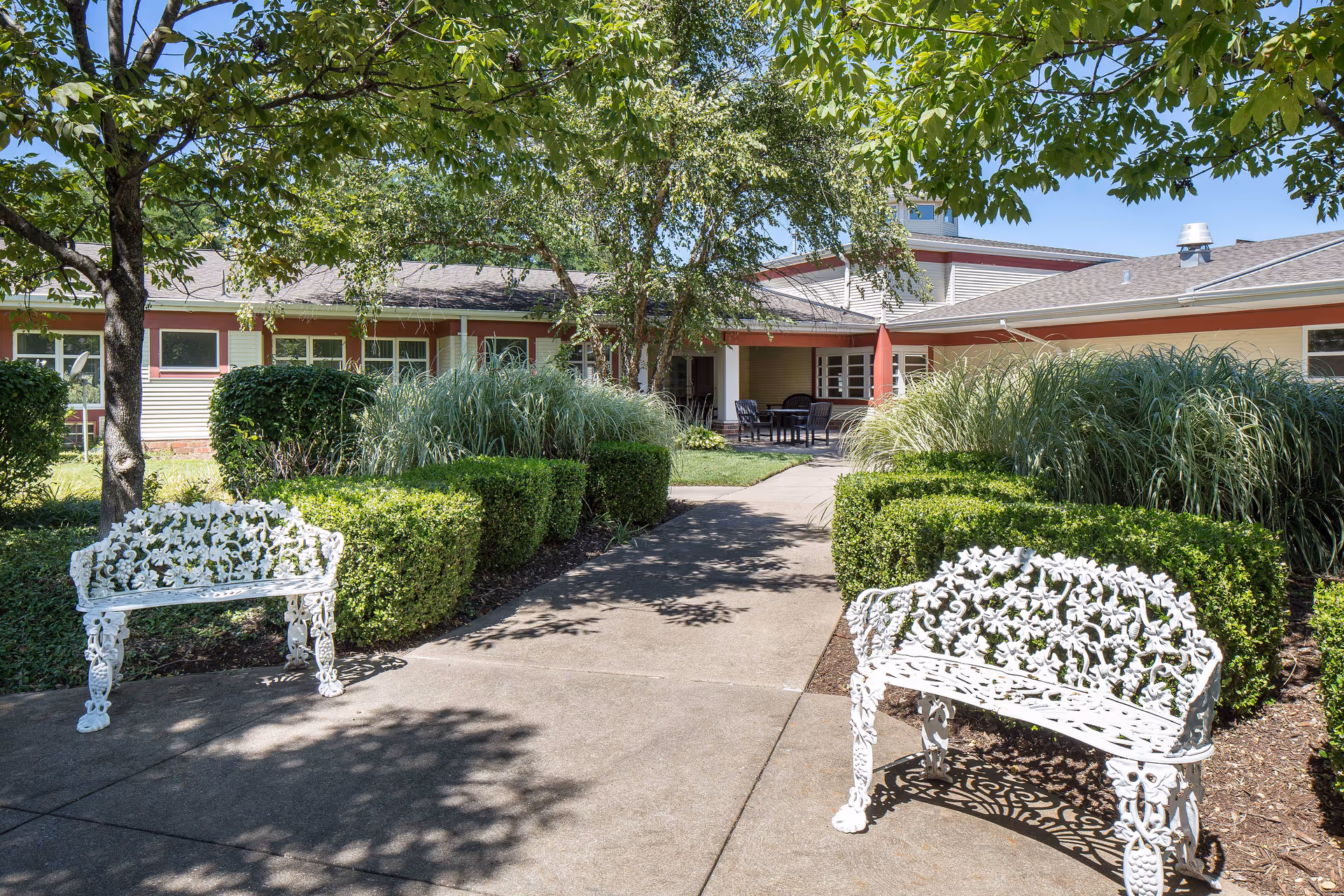 Outdoor garden area with a concrete pathway flanked by two ornate white metal benches. The path is bordered by neatly trimmed green bushes and tall grasses. Trees provide shade, and in the background, there is a single-story building with a covered patio area furnished with tables and chairs under a red umbrella.