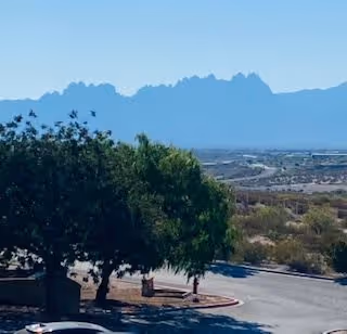 View of a parking lot with several cars parked near a large tree, with a desert landscape and mountain range in the background under a clear blue sky.