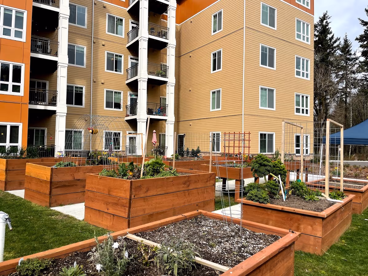 Outdoor garden area with multiple raised wooden garden beds containing various plants and vegetables, situated in front of a multi-story residential building with balconies and numerous windows.