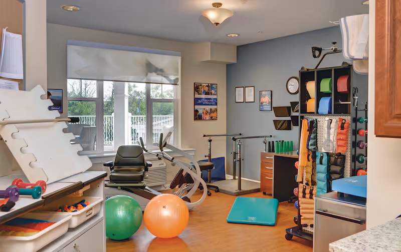 A well-lit physical therapy or exercise room with various fitness equipment including exercise balls, dumbbells, resistance bands, parallel bars, and a recumbent exercise bike. The room has large windows with a view of greenery outside, light blue walls, and wooden flooring. There are also shelves and storage bins holding additional exercise supplies.