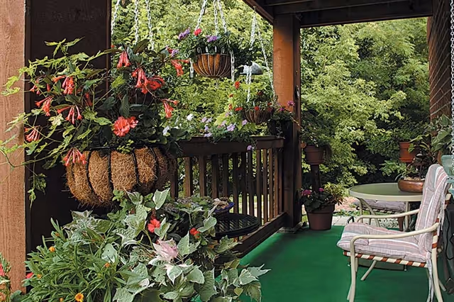 Covered porch with hanging flower baskets, potted plants, and seating overlooking trees.