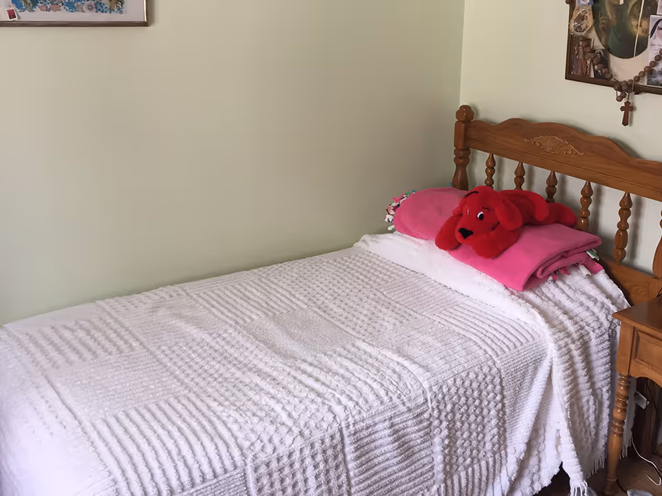 A simple bedroom with a single bed covered by a white textured bedspread, pink pillows and a red stuffed dog on a wooden headboard.