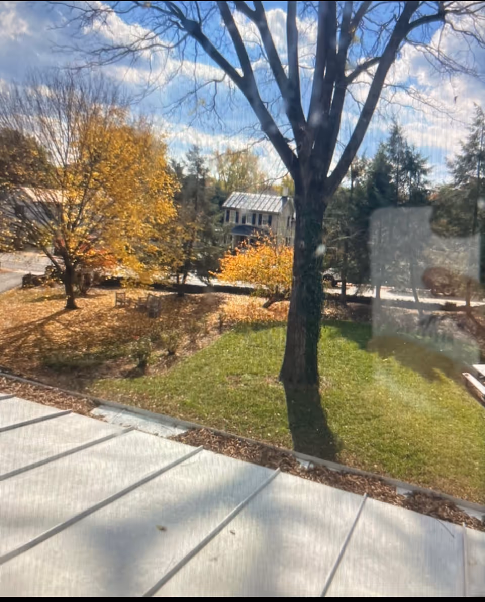 View through a window showing a yard with a large tree casting a shadow on green grass, surrounded by autumn trees with yellow and orange leaves. A house with a metal roof is visible in the background under a partly cloudy sky.