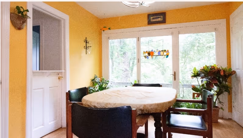 Sunlit dining area with a round table and chairs in front of large windows and potted plants.