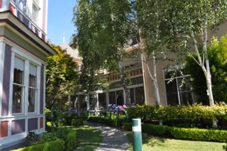 A landscaped outdoor area with a curved walkway surrounded by green bushes and trees, adjacent to a building with large windows and decorative architectural details.