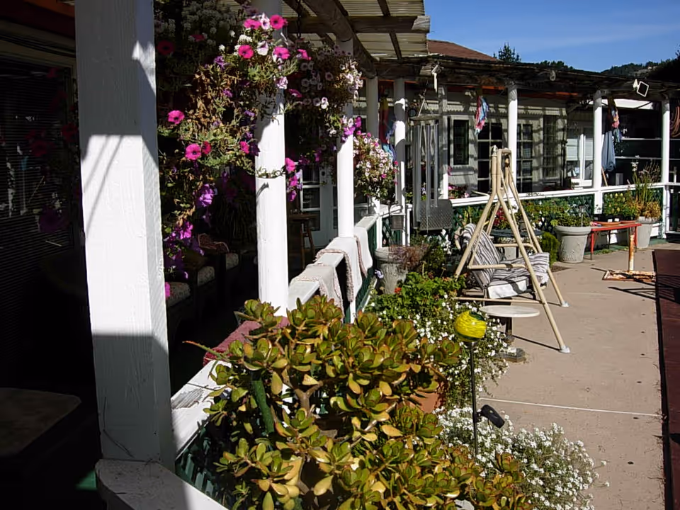 Outdoor patio area at Flanders Court of Carmel featuring a concrete walkway lined with green plants and white flowers. There are white columns supporting a pergola with hanging baskets of pink and white flowers. Several cushioned chairs and a swing seat are arranged along the patio, with a clear blue sky in the background.