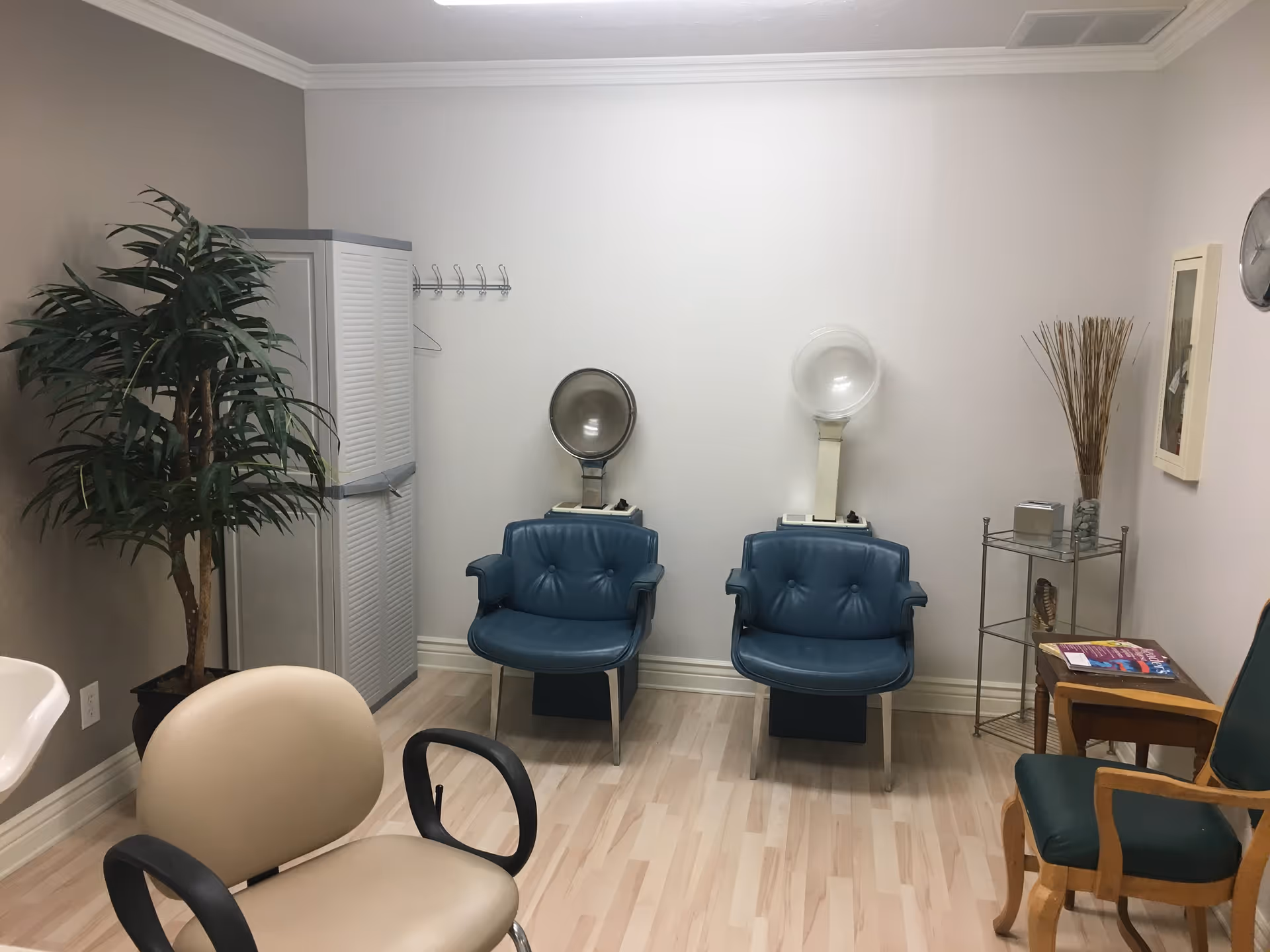 A small salon room with two blue hooded hair dryers, several chairs, a potted plant, and shelving against white walls.