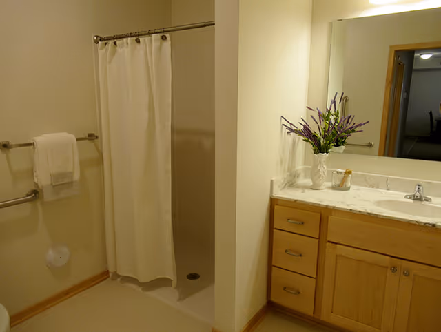 Accessible bathroom with a shower and curtain, wooden vanity with sink and mirror, and towel/grab bars.