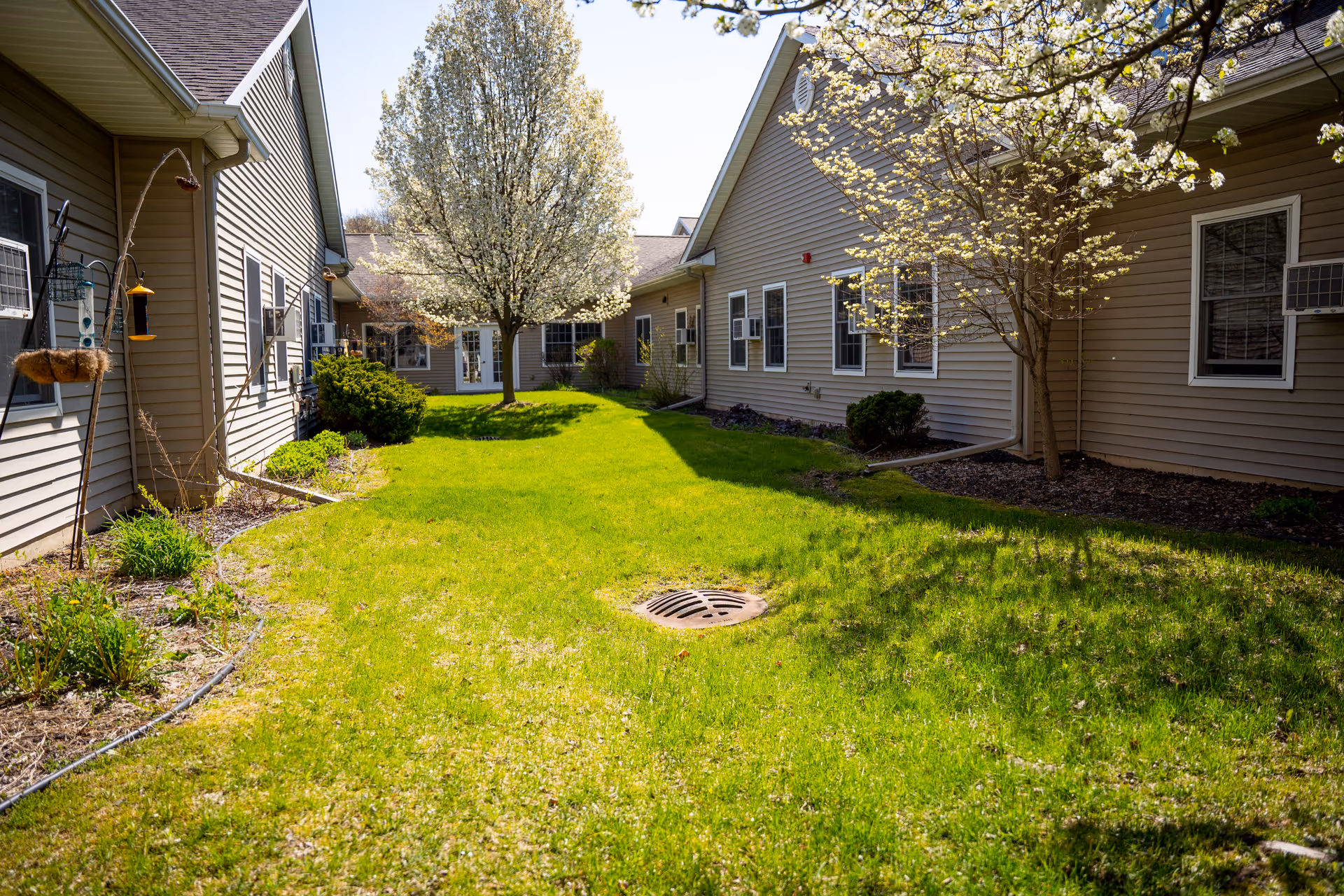 A sunny outdoor courtyard area with green grass, two blooming trees, and beige siding buildings on either side. The buildings have multiple windows and air conditioning units. There is a bird feeder and some garden plants along the left side.