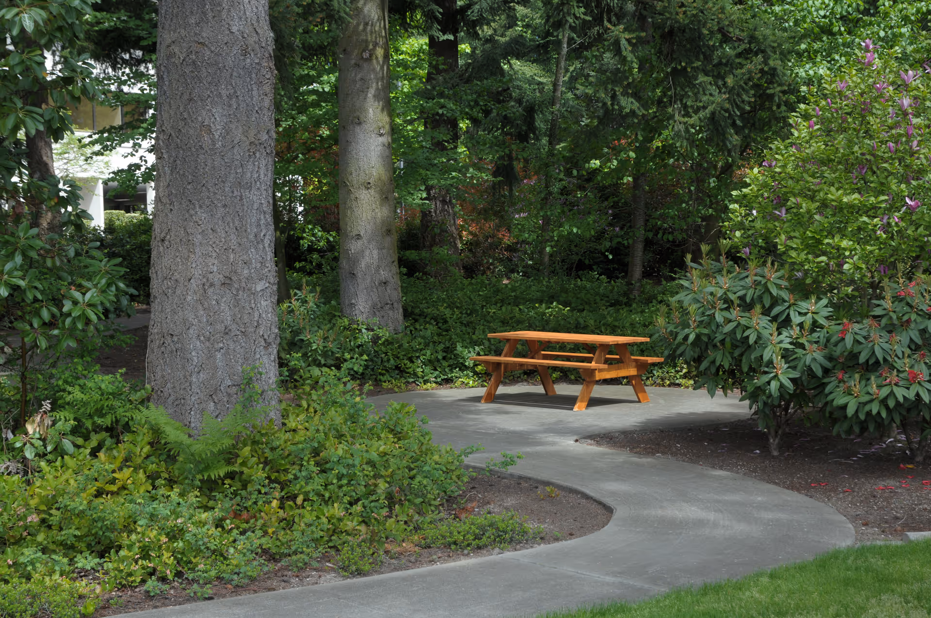 A wooden picnic table on a curved concrete path surrounded by lush green trees, bushes, and plants in an outdoor garden setting.