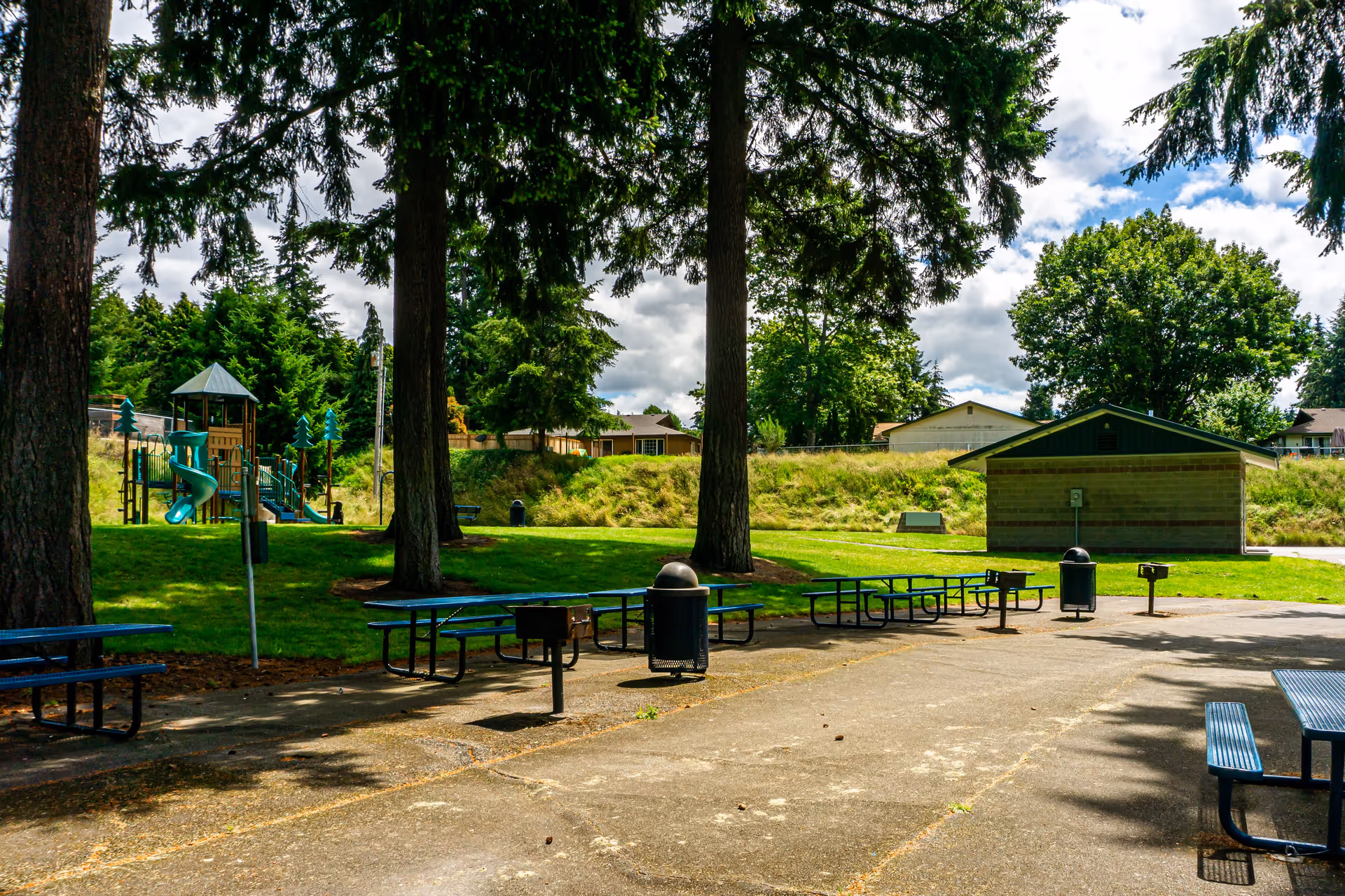 Outdoor park area with several blue picnic tables and barbecue grills on a concrete surface, surrounded by tall trees and green grass. In the background, there is a playground with slides and climbing structures, as well as a small building and residential houses under a partly cloudy sky.