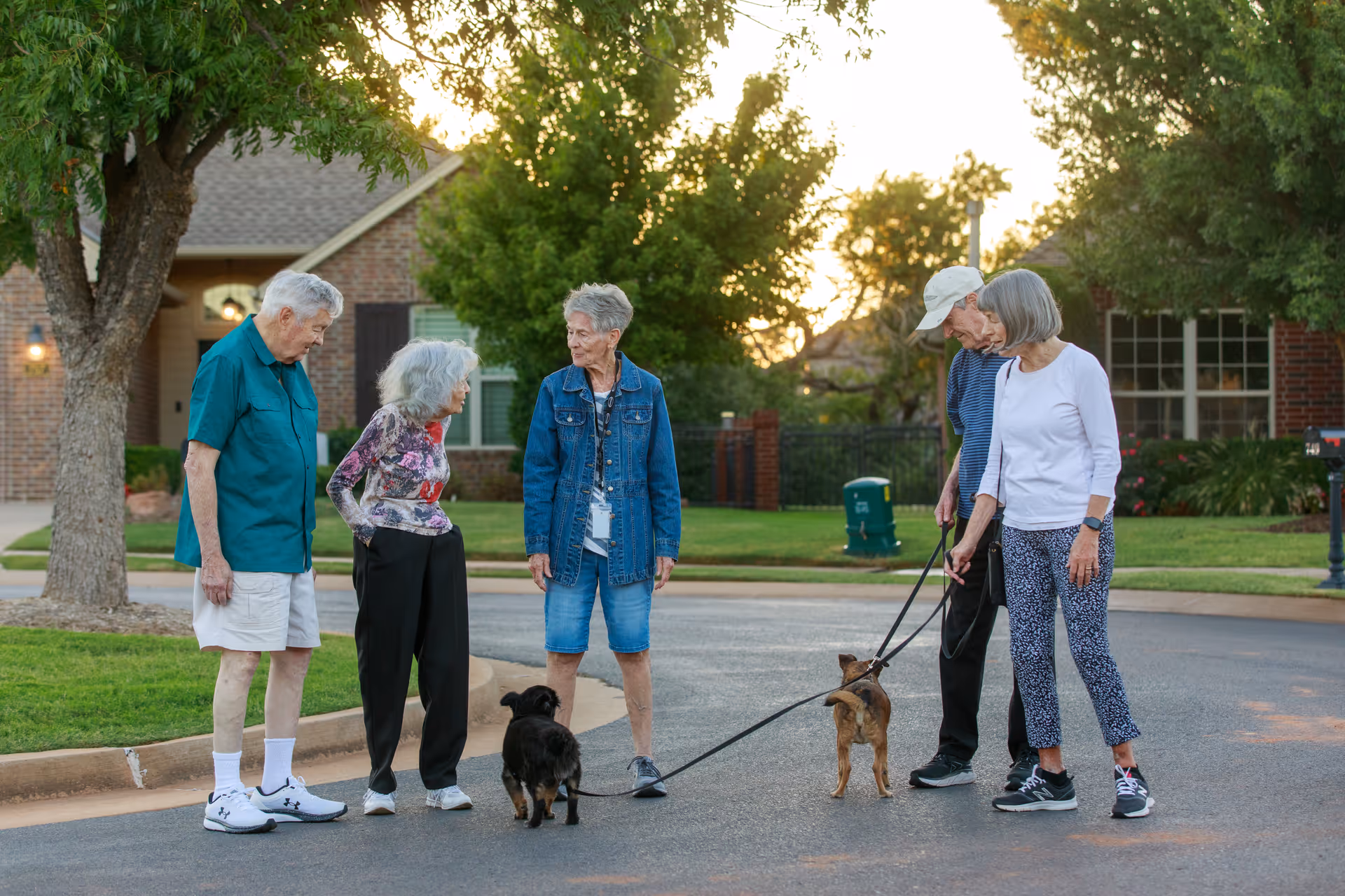 Five elderly people standing on a residential street with two small dogs on leashes, surrounded by trees and houses during sunset.