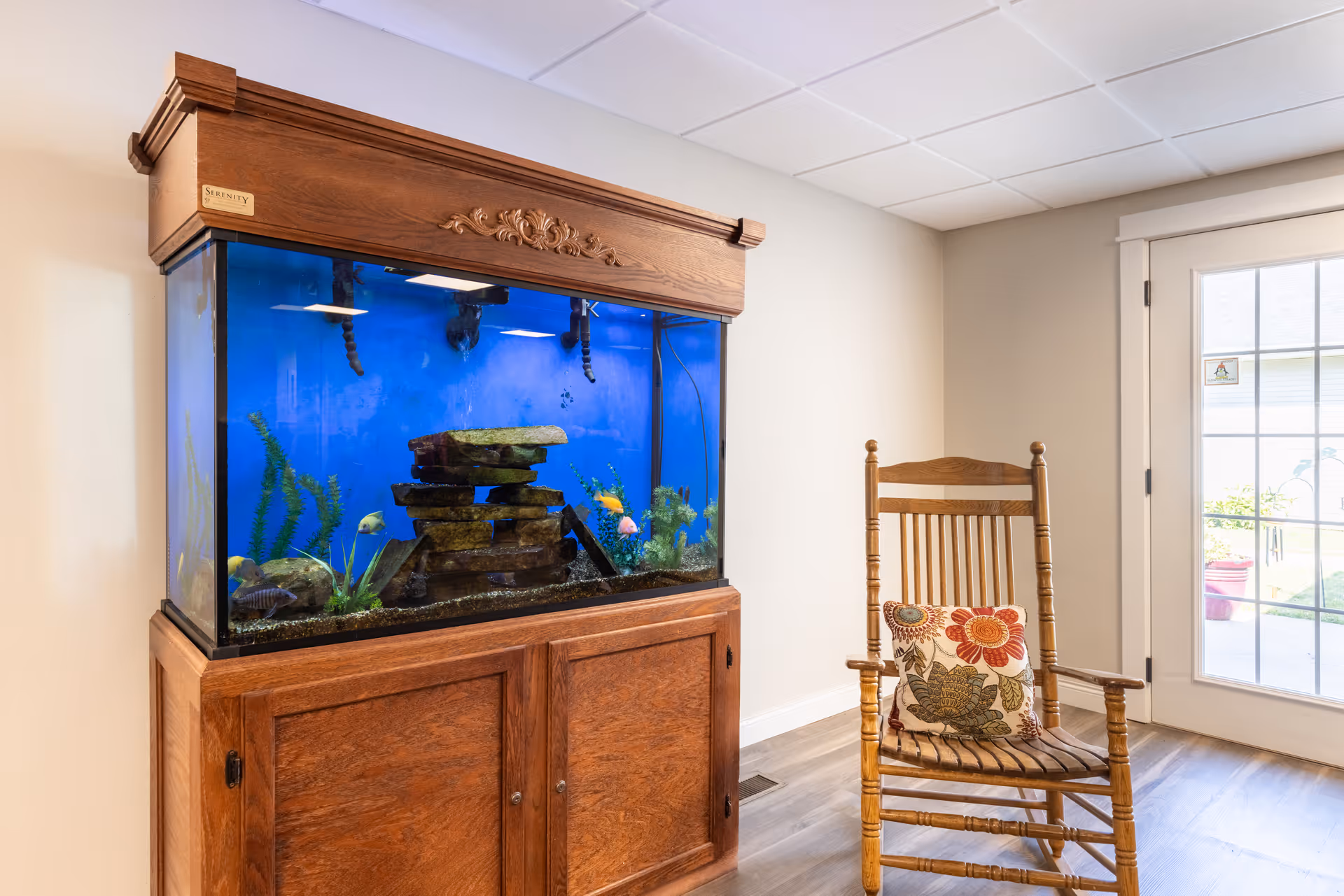 A wooden aquarium filled with water, plants, rocks, and colorful fish sits against a beige wall. Next to it is a wooden rocking chair with a floral cushion. A glass door with white framing is visible in the background, letting in natural light.