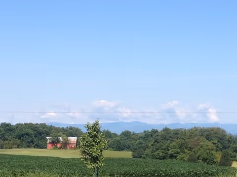 A scenic outdoor view featuring a green field with a single small tree in the foreground, dense trees in the midground, and a red barn-like building partially visible among the trees. In the background, there are blue mountains under a clear blue sky with a few white clouds.