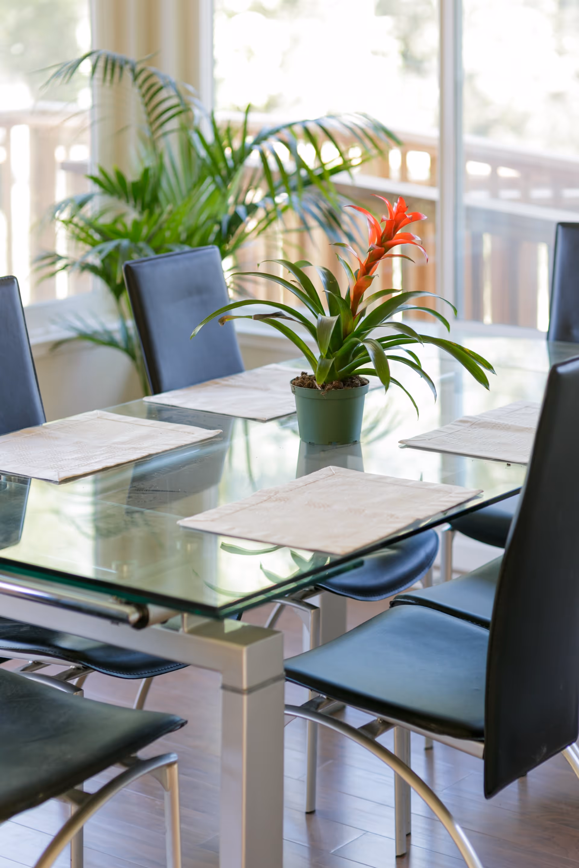 A modern dining area with a glass table set with four black chairs. The table has four beige placemats and a green potted plant with red flowers as a centerpiece. Large windows in the background let in natural light and show a wooden deck outside. A green leafy plant is also visible near the window.