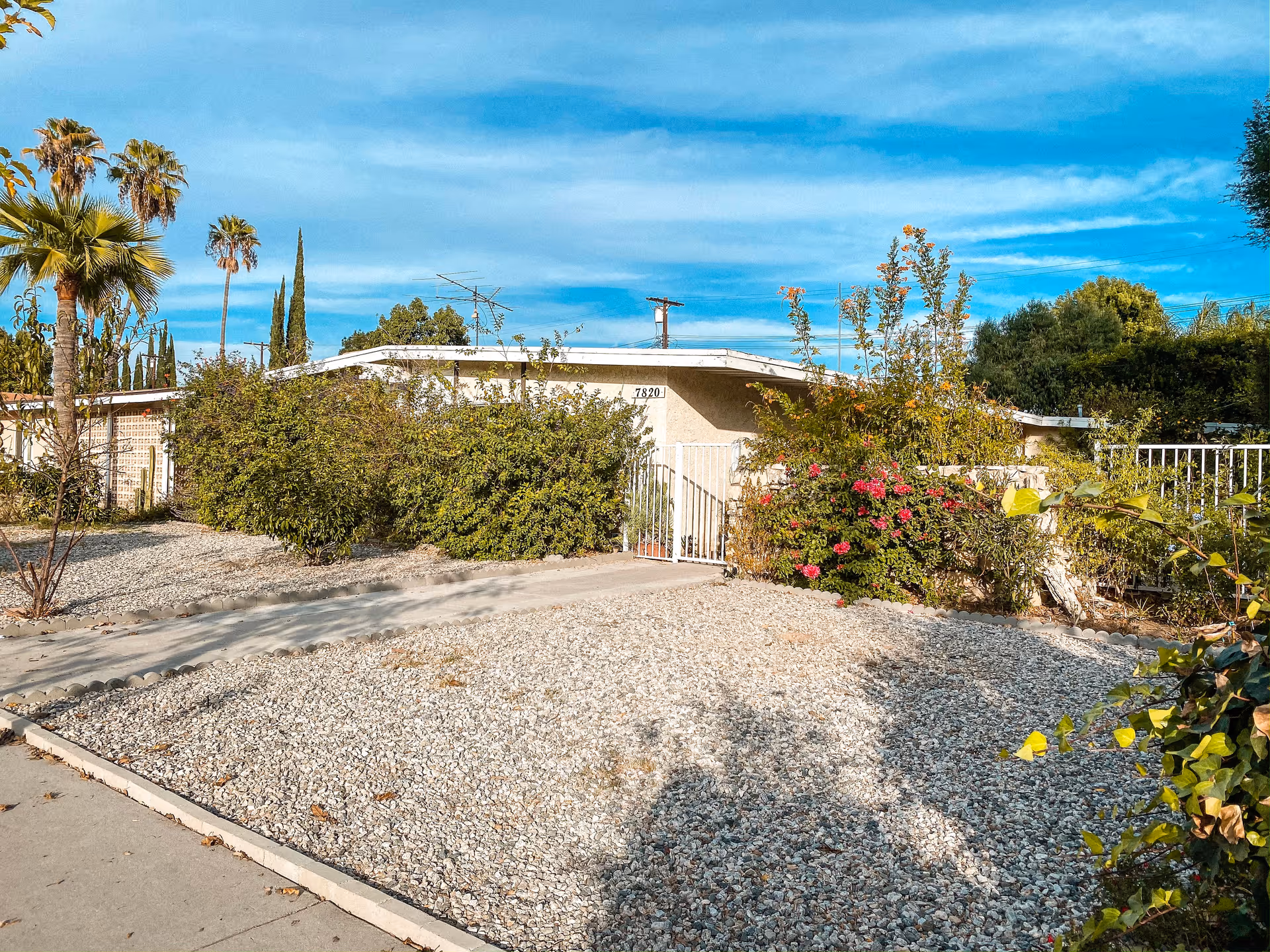 Front view of a single-story building with gravel landscaping, shrubs, blooming bushes and palm trees under a blue sky.