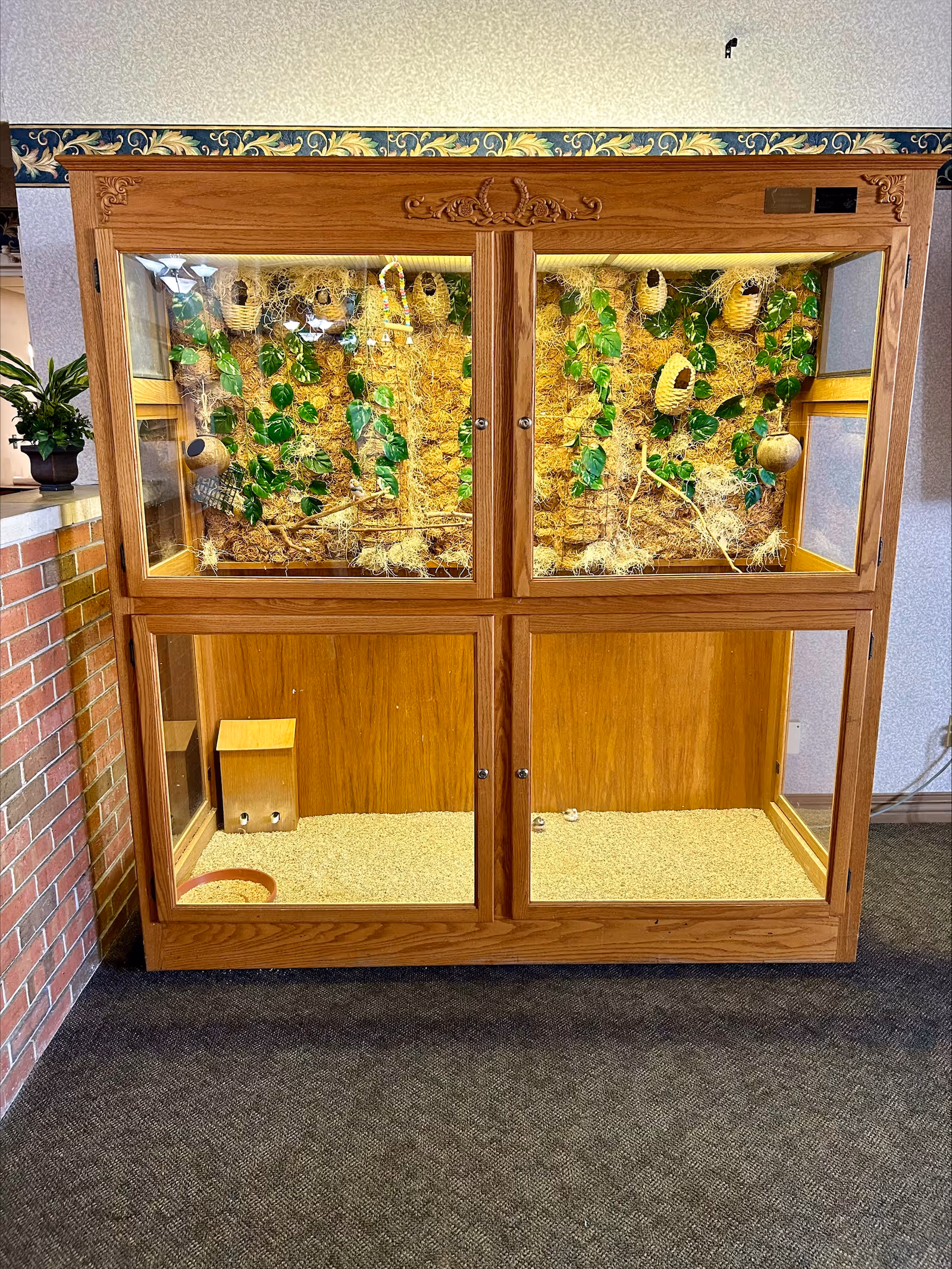 A large wooden display case with glass panels, divided into four sections. The top two sections contain a decorative arrangement of small hanging baskets, green leaves, and natural materials like straw and twigs. The bottom two sections are empty except for a small wooden box and a red dish inside the left compartment. The display case is placed against a wall with a patterned wallpaper border and next to a brick wall with a potted plant on top.