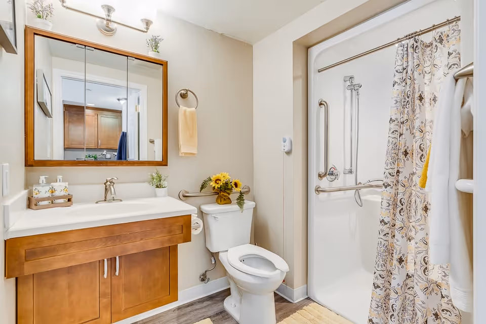 Bright accessible bathroom with a wooden vanity and mirror, toilet, and a walk-in shower with grab bars and patterned shower curtain.