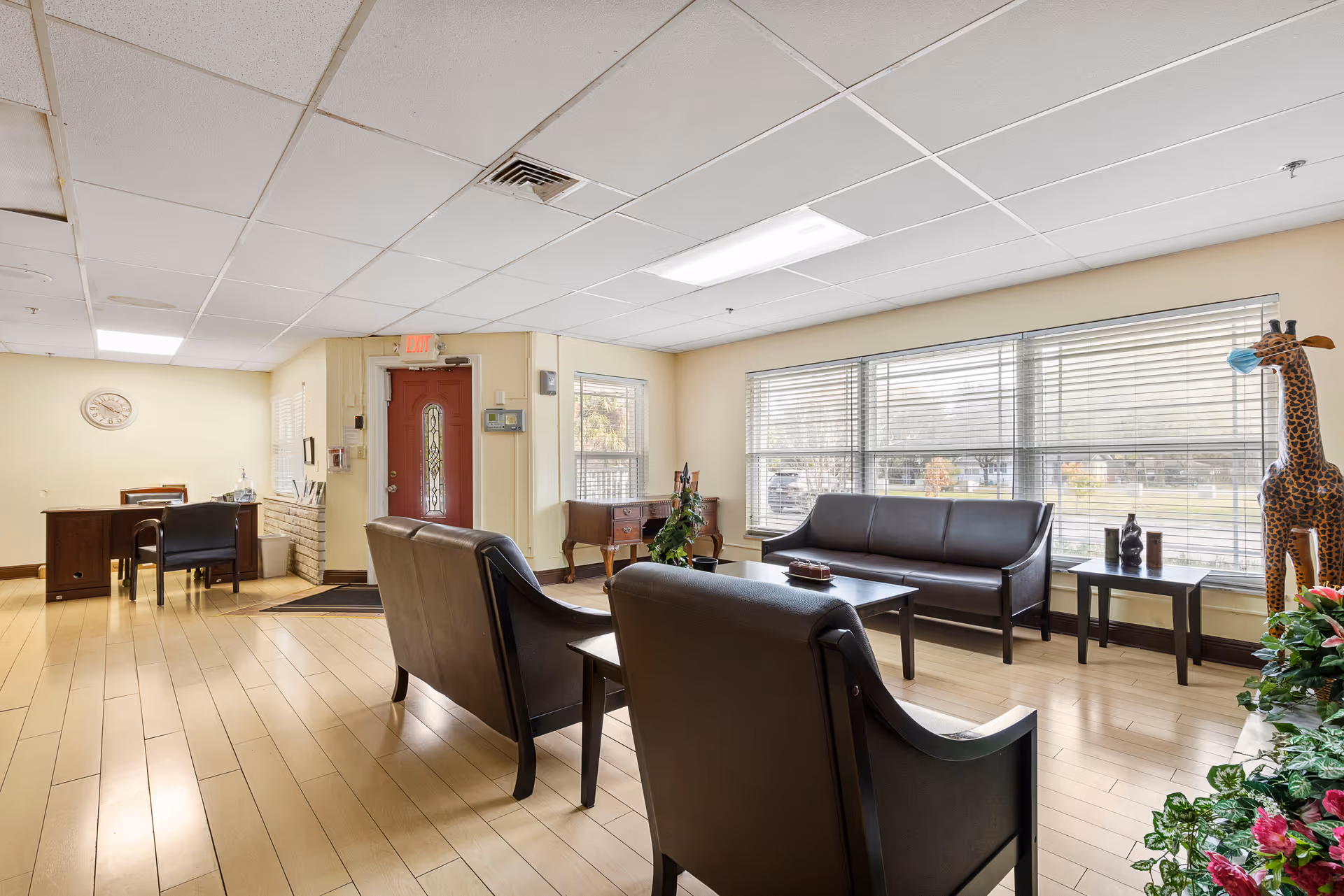A bright and spacious assisted living facility common area with light wood flooring, a red entrance door, large windows with blinds, black leather sofas and chairs arranged around a coffee table, a desk with chairs in the background, a tall giraffe statue wearing a face mask, and some potted plants.