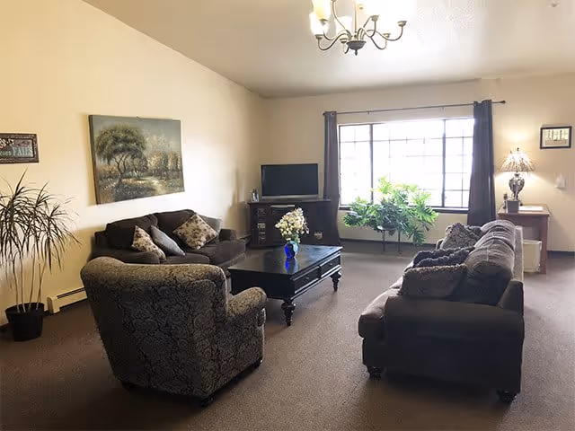 A cozy living room with two sofas and an armchair arranged around a dark wooden coffee table with a vase of flowers. There is a TV on a stand against the wall, a large window with dark curtains letting in natural light, a potted plant near the window, and a small table with a lamp in the corner.