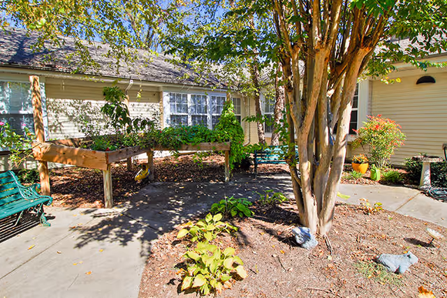 Sunlit courtyard with raised wooden planters, benches, a tree and a walkway outside a single-story senior living building.