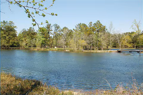 A tranquil lake surrounded by trees with a wooden dock extending over water
