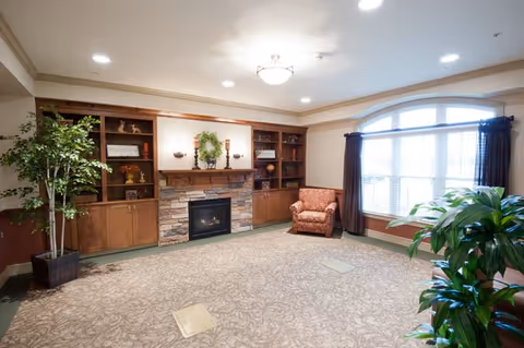A cozy living room area with a stone fireplace centered between wooden built-in shelves filled with decorative items. There is a single upholstered armchair near a large window with dark curtains, and two large potted plants on either side of the room. The ceiling has recessed lighting and a central light fixture.