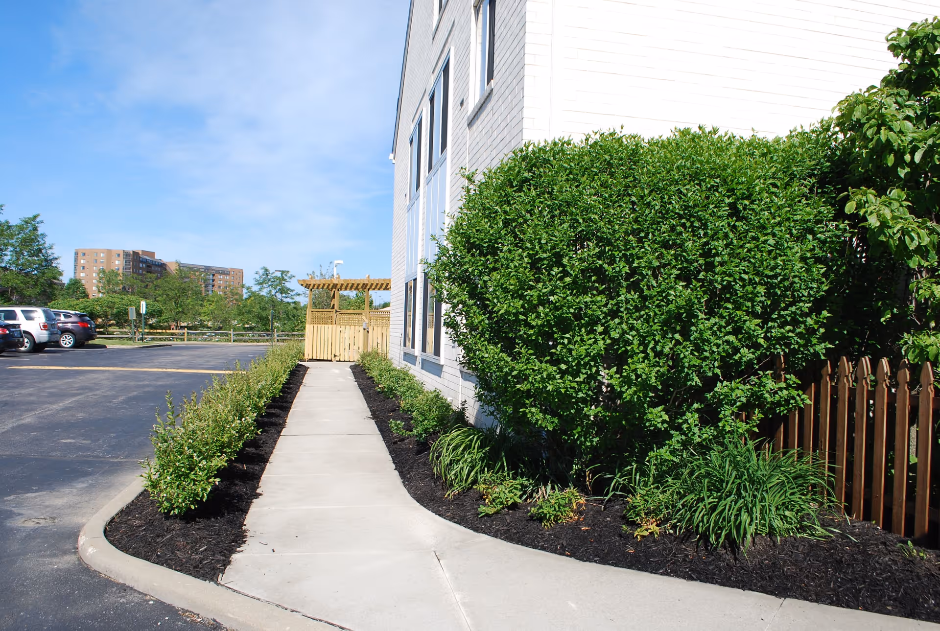 Sidewalk next to a building with neatly trimmed bushes and plants along the edge, a wooden fence, and a small wooden pergola at the end of the path. Several parked cars and a multi-story building are visible in the background under a clear blue sky.