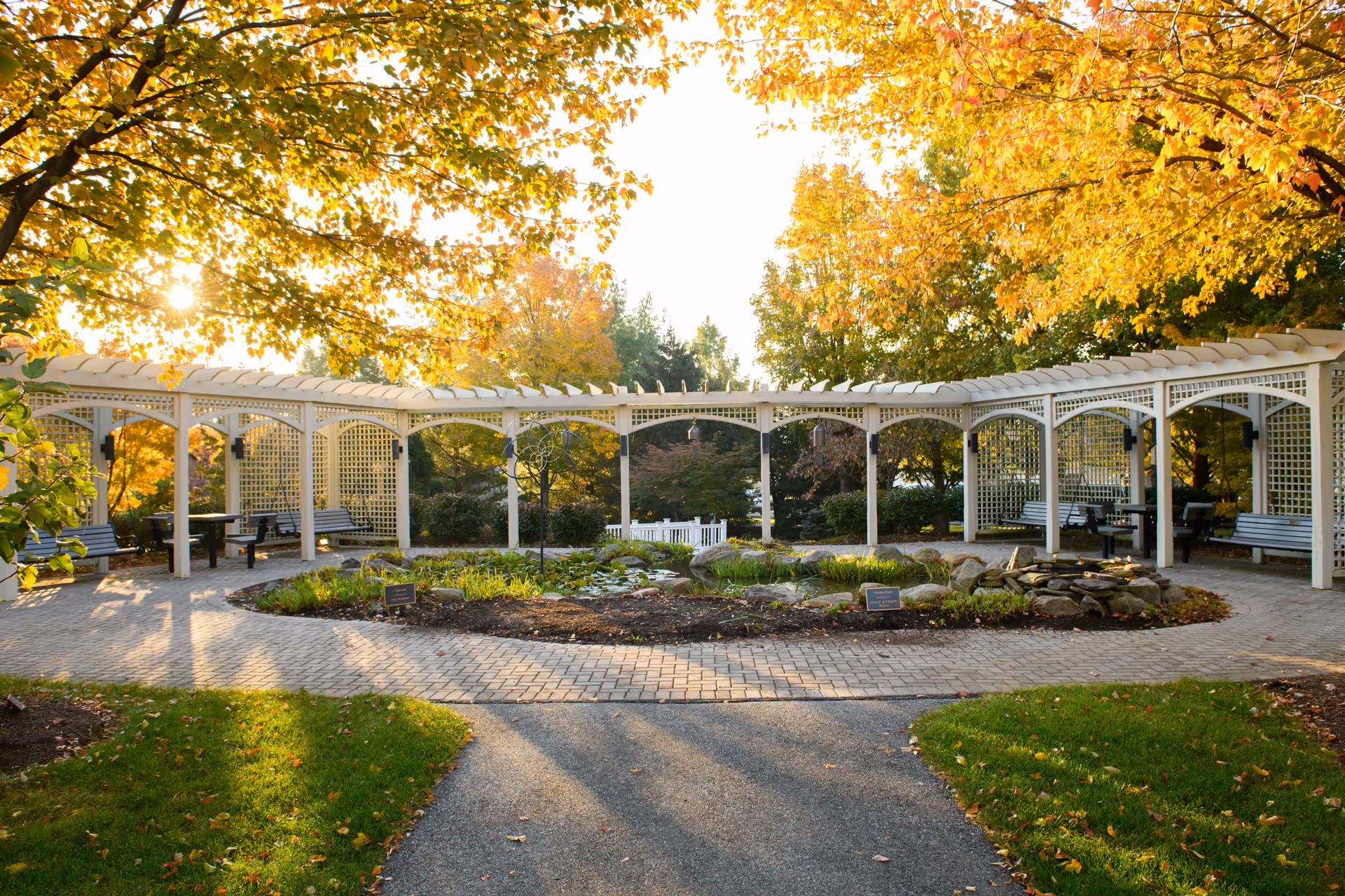 A peaceful outdoor garden area with a white pergola structure surrounding a small pond and landscaped plants. Benches and tables are placed under the pergola, and trees with autumn-colored leaves surround the area, with sunlight filtering through the branches.