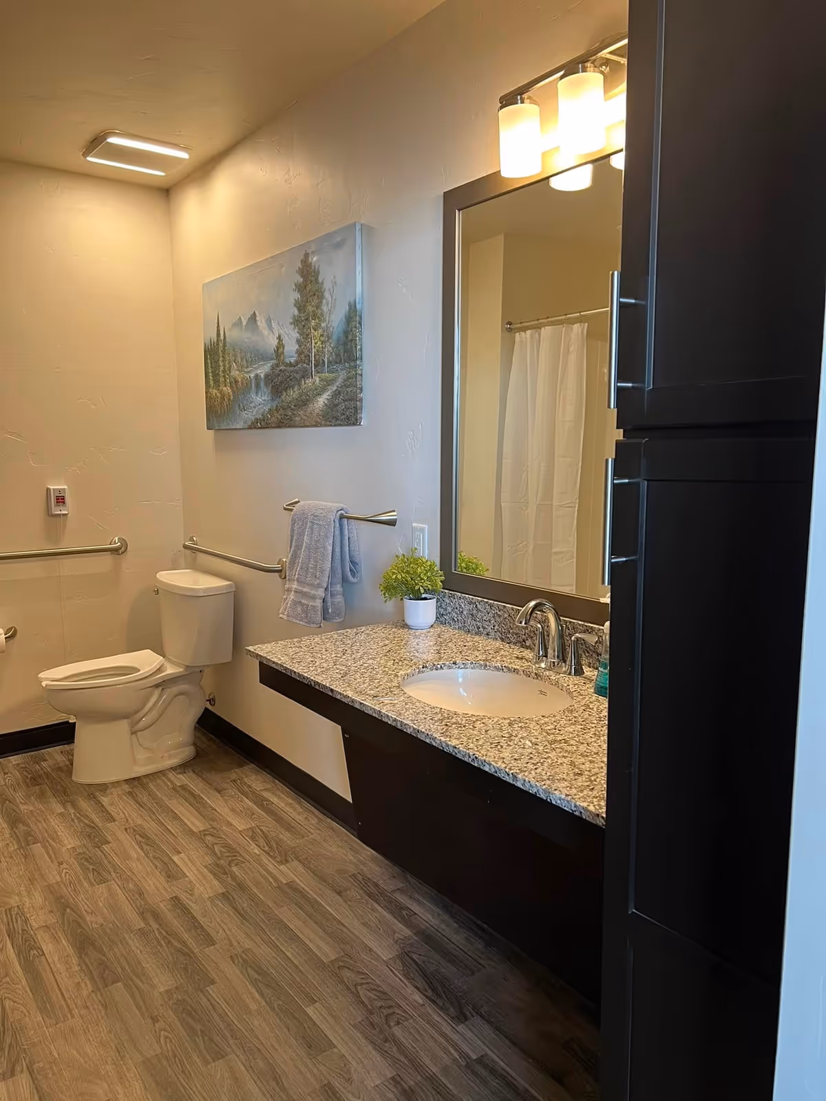 A clean and modern bathroom with a white toilet, a granite countertop with an under-mount sink, a large mirror with three light fixtures above it, a small potted plant on the counter, a towel hanging on a bar, and a shower with a white curtain in the background. The floor has wood-like vinyl flooring and there is a landscape painting on the wall.