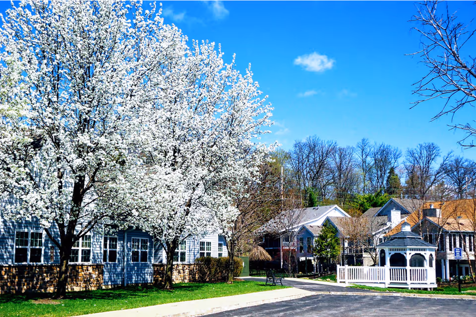 Outdoor view of Cape Albeon Assisted Living facility with blooming white flowering trees, a white gazebo, and several residential-style buildings under a clear blue sky.