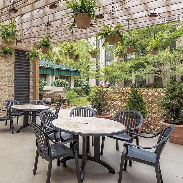 Covered outdoor patio with round tables and plastic chairs under hanging potted ferns, overlooking a landscaped courtyard and a barbecue.