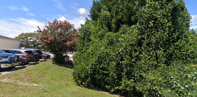 A grassy area with dense green bushes and a tree with pink flowers. Several parked cars are visible on the left side under a clear blue sky with some clouds.